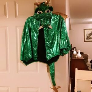 Metallic dragon Cape costume